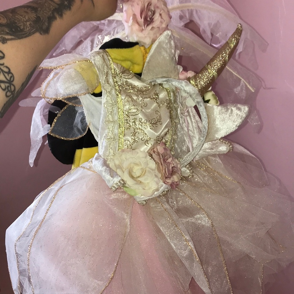 Unicorn fairy costume